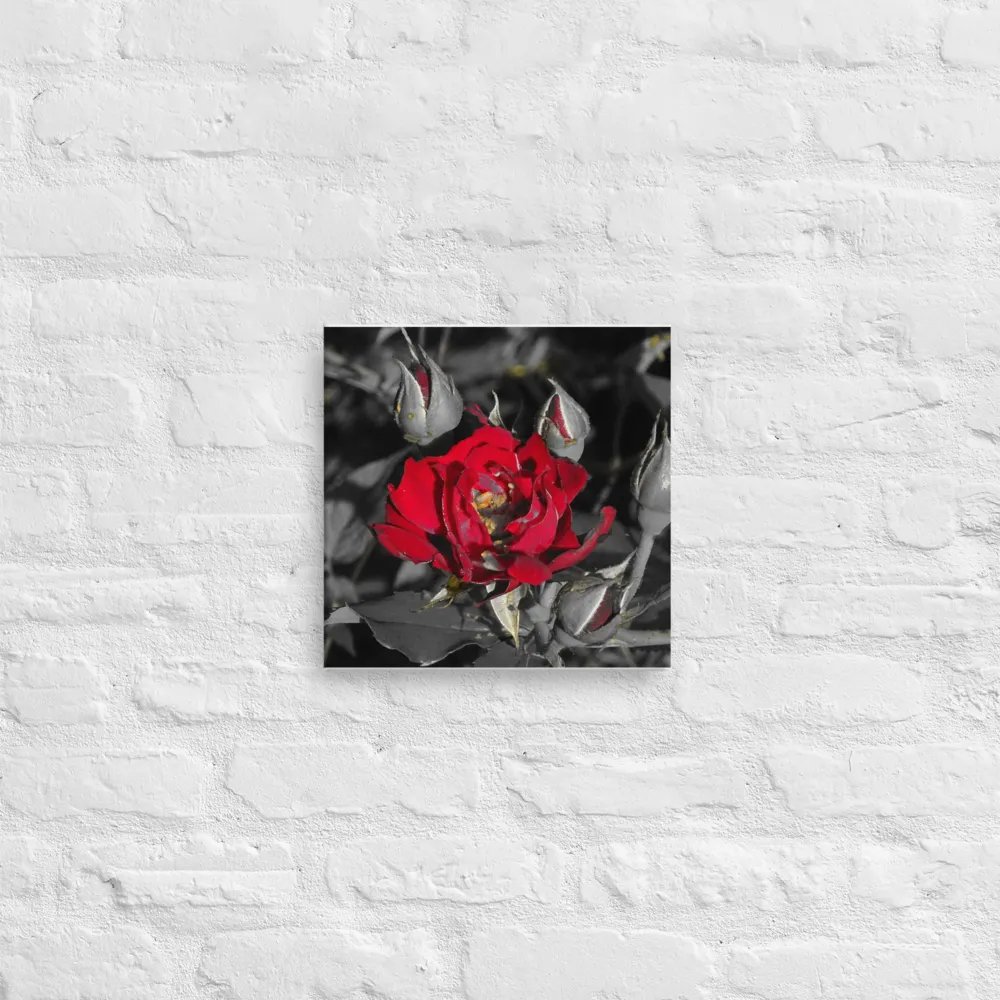 Rose on Canvas product image (12)