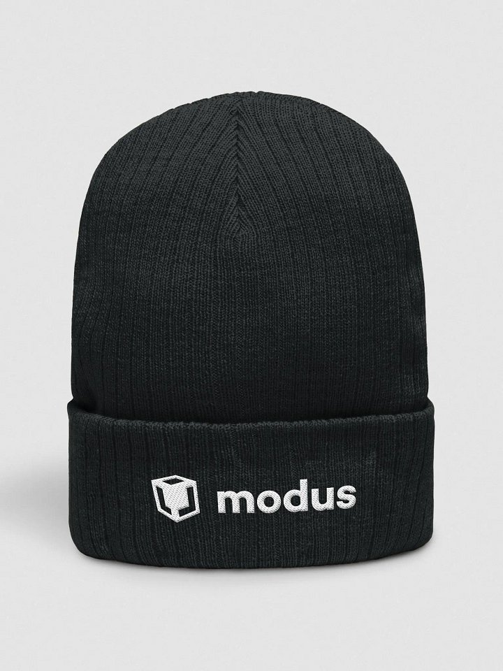 beanie// ribbed knit (black) product image (1)