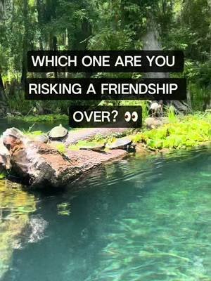 this comment section is about to get ugly 😭💦 you can only pick one: 🌴 Ichetucknee 🧜‍♀️ Weeki Wachee 🐢 Three Sisters 🌿 Rock Springs defend your choice. 