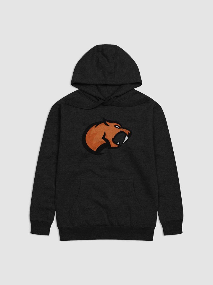 Sabres Premium Unisex Hoodie product image (4)