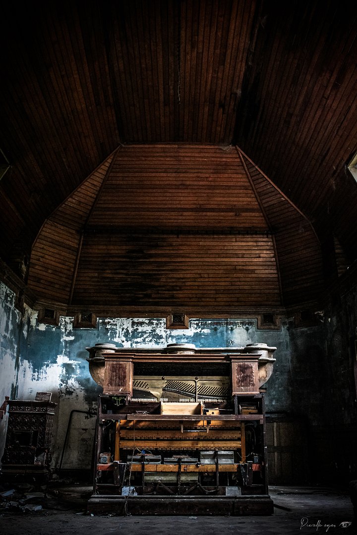 The Forgotten Pianist - Welte-Mignon product image (1)