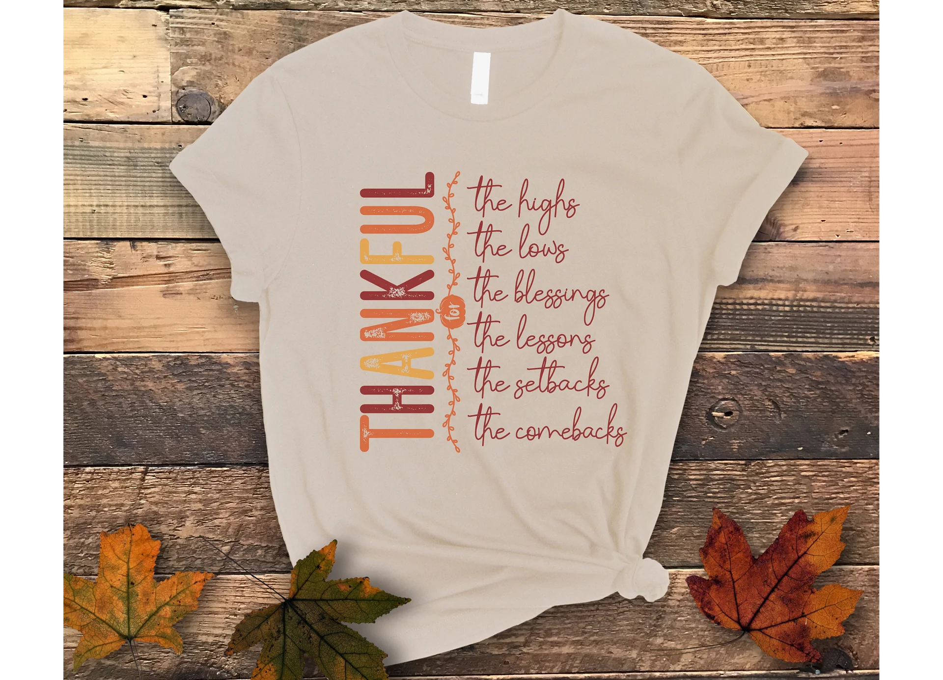 Thankful Reflections T-Shirt product image (1)