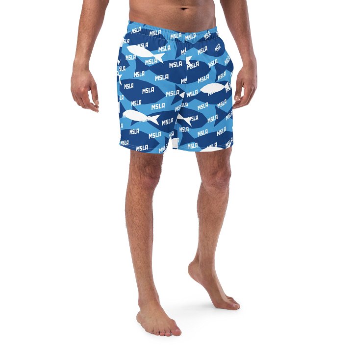 The Summer - Swim Trunks product image (1)