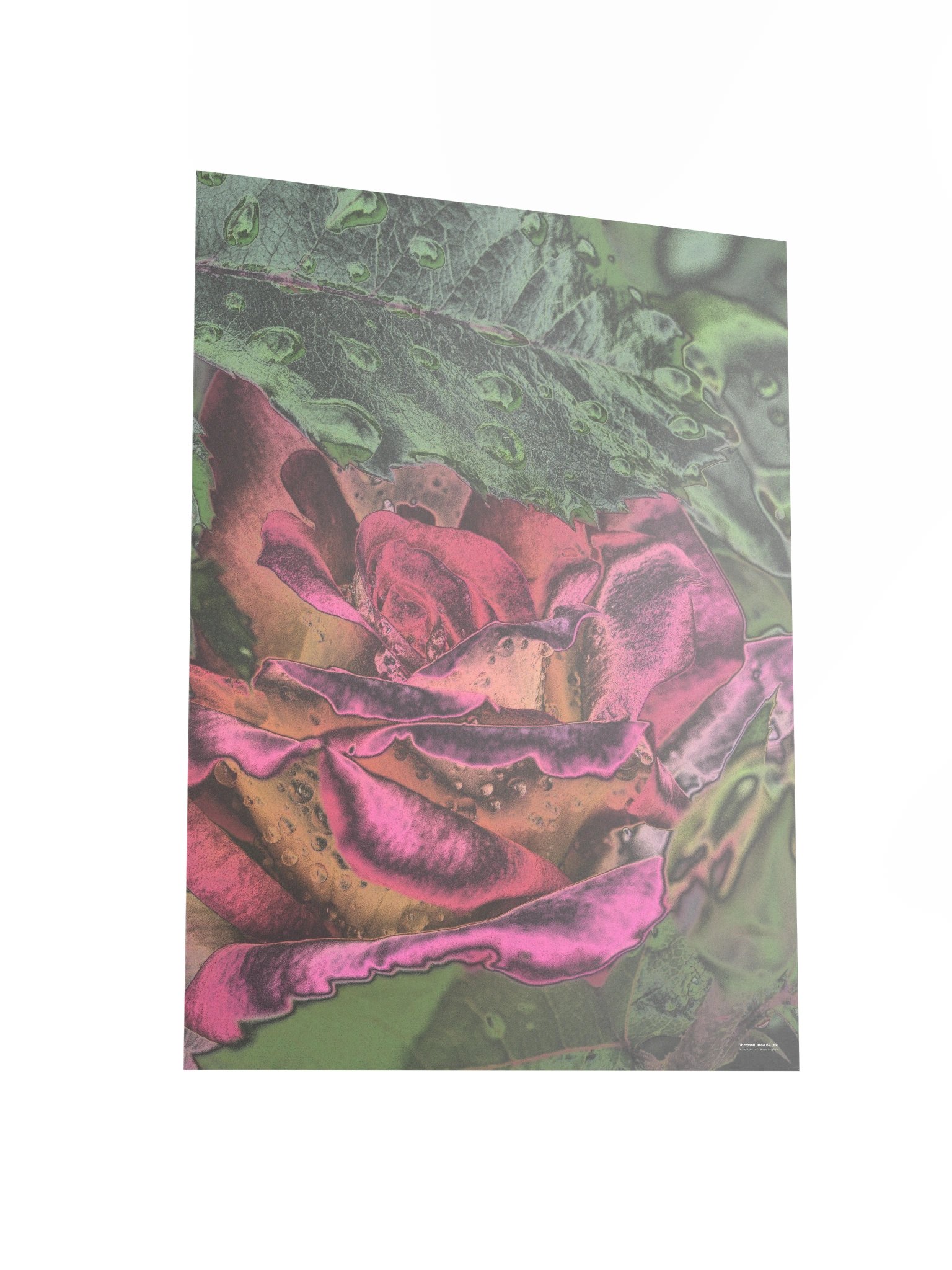 Chromed Rose 64182 Poster product image (6)