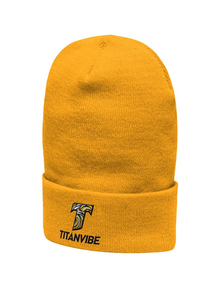 TITANVIBE Swirl Cuffed Beanie product image (12)