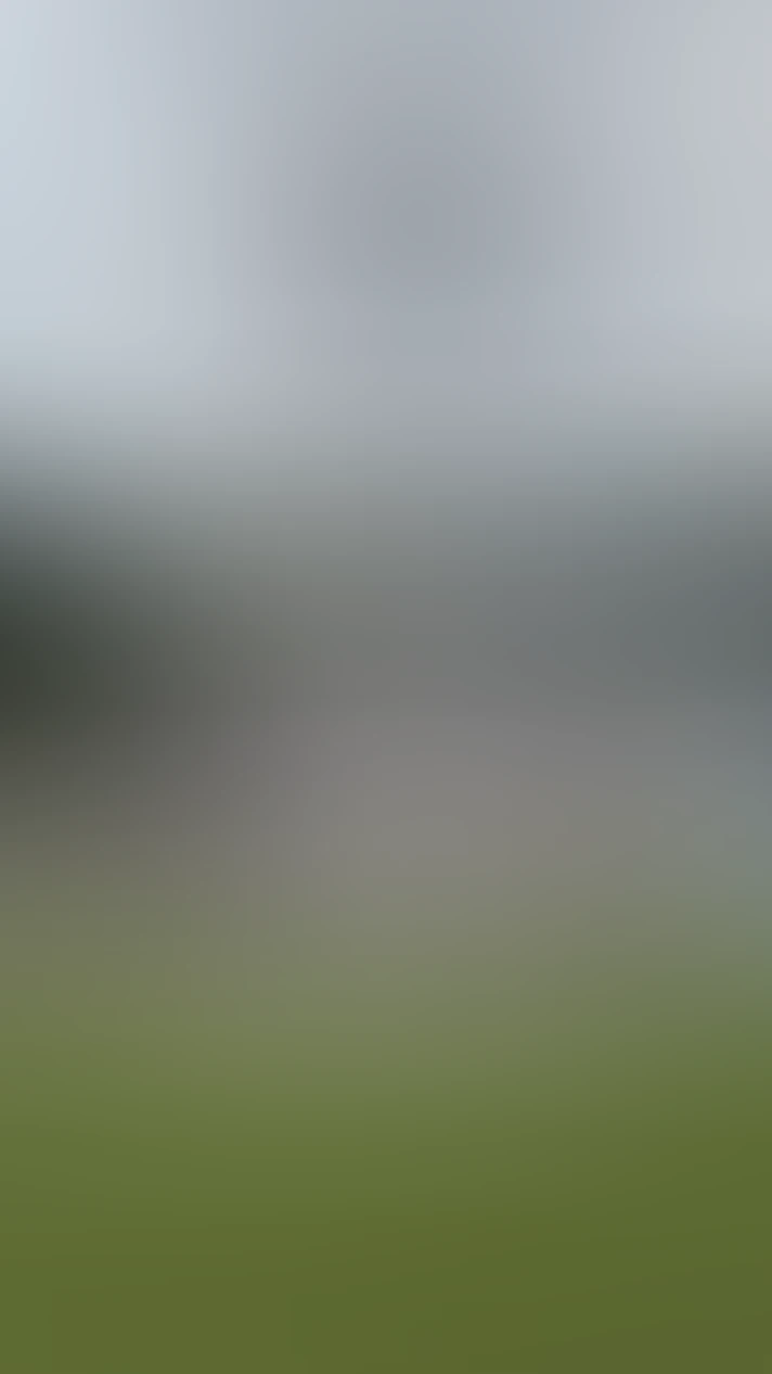 Video thumbnail background