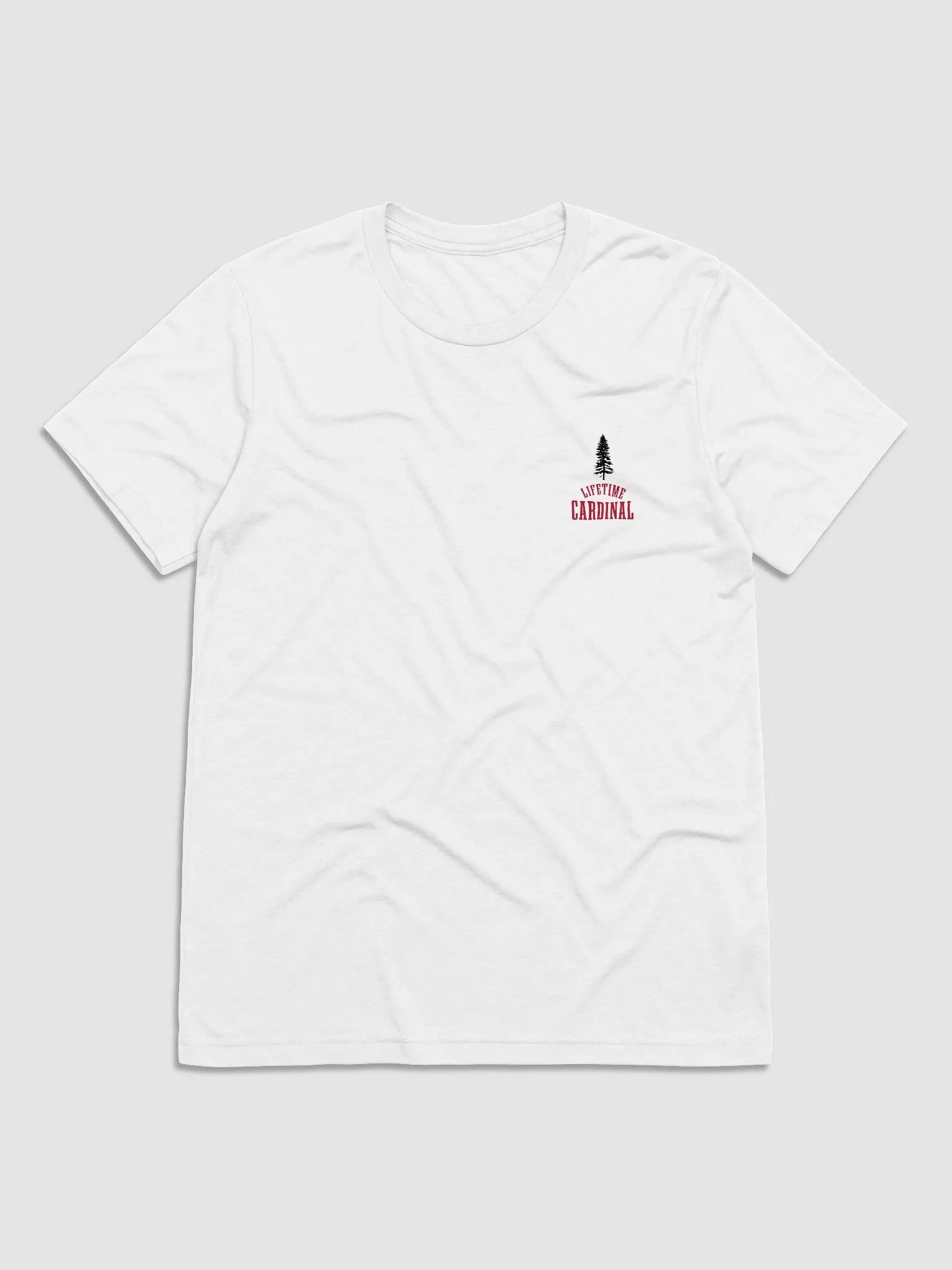 Everyone Watches Women's Basketball - Classic Logo Tee product image (2)