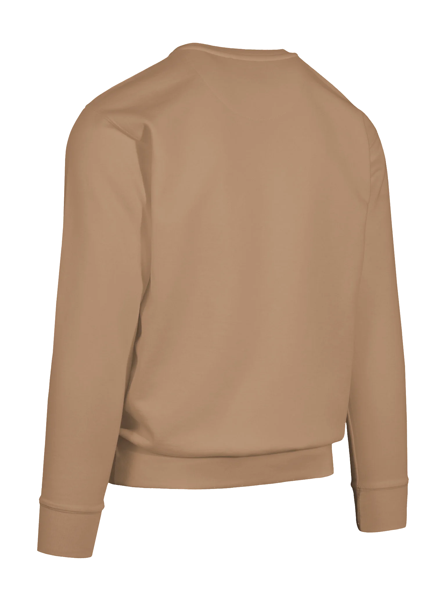 Chatty Campfire Premium Sweatshirt | Cozy Chatty Fall Collection product image (32)