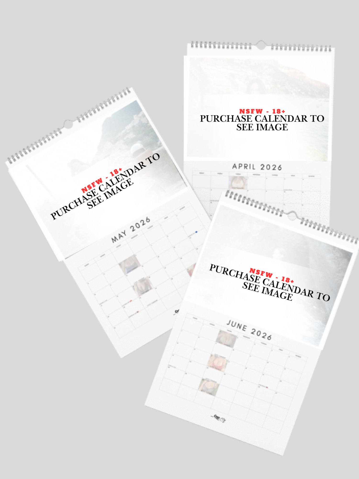 2026 Calendar product image (3)