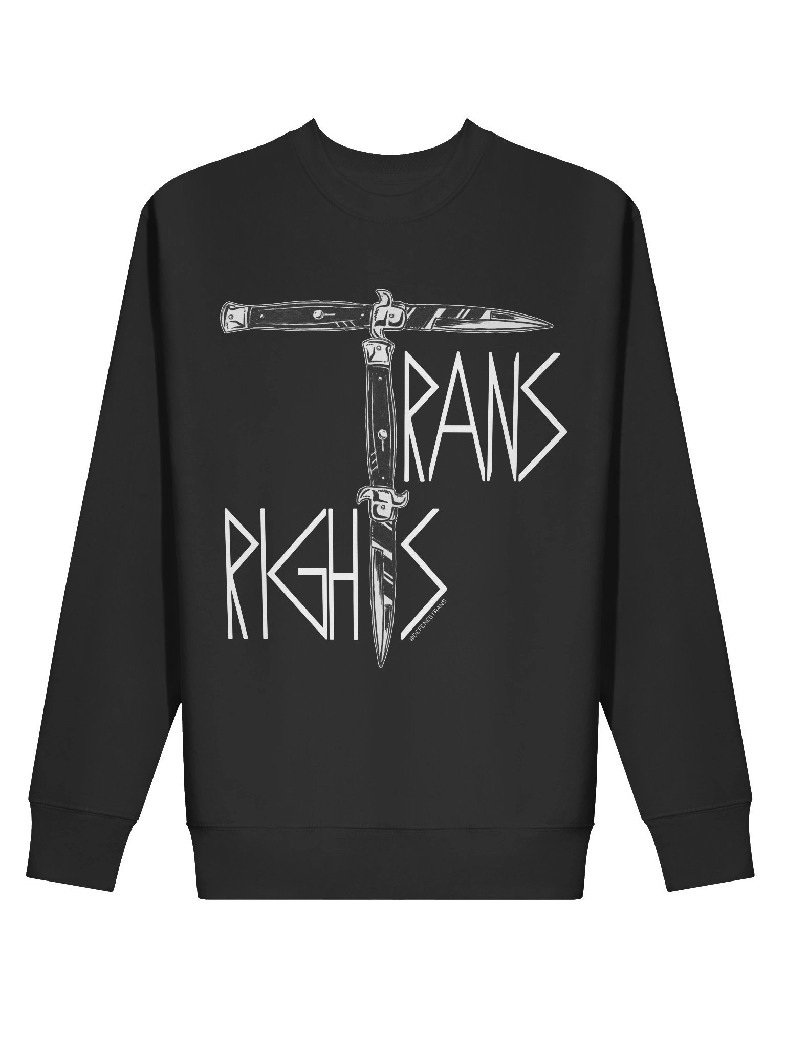 Trans Rights Sweatshirt product image (8)