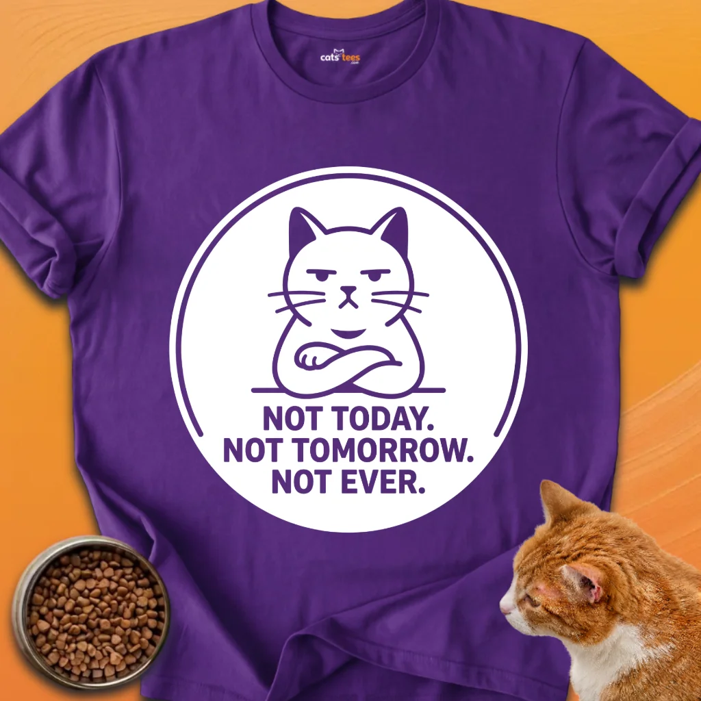Not Today Not Tomorrow product image (11)