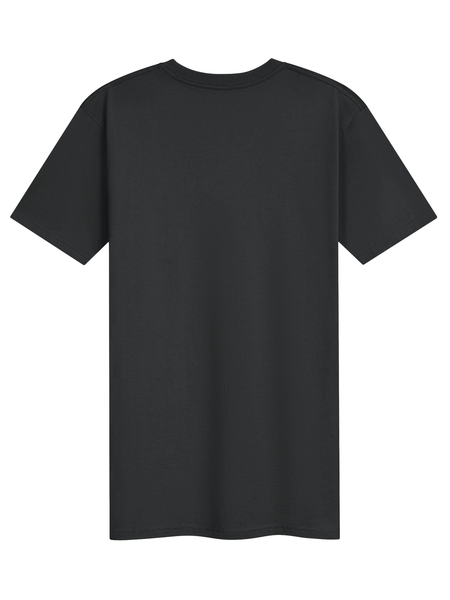 The Golden Ticket Heavyweight Tee product image (2)