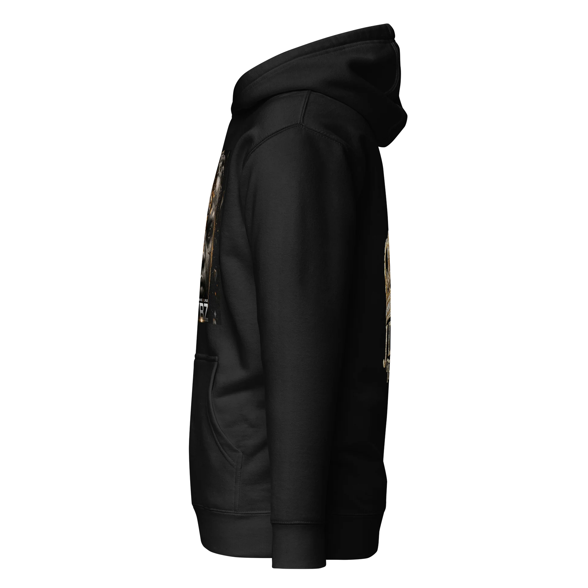 VYBZ Hoodie product image (4)