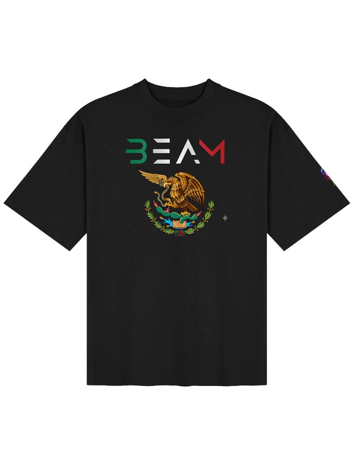 BEAM MEXICAN FLAG TSHIRT (BAGGY) product image (2)