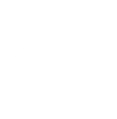 Kohesive Samples | Inspire Your Next Production