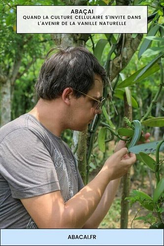 Révolution en Laboratoire : Quand la culture cellulaire s’invite dans l’avenir de la vanille naturelle Bonjour à tous les pas...