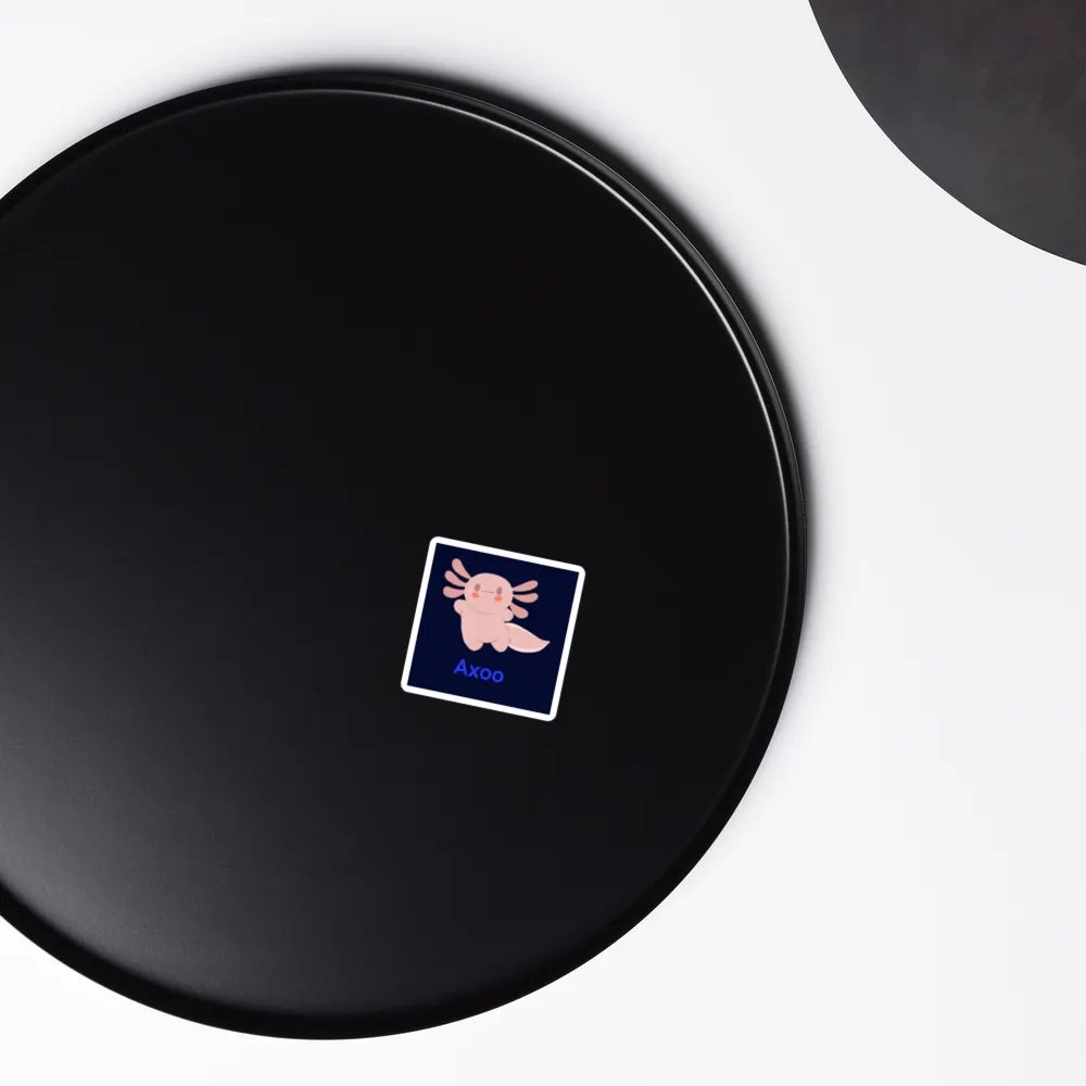aimant AXOO product image (6)