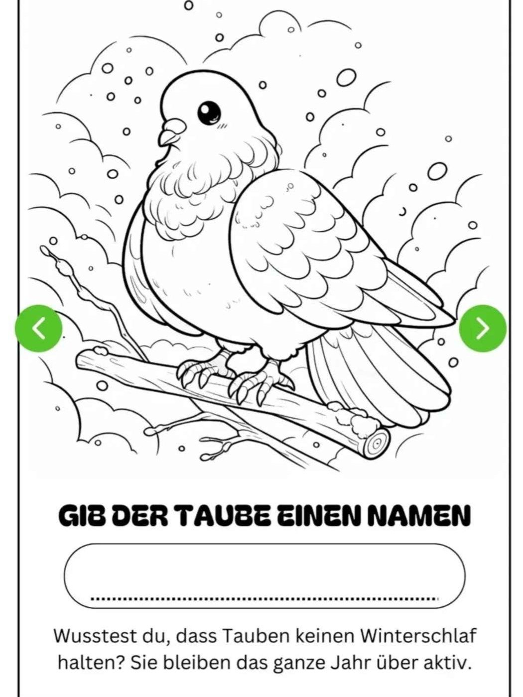 Taubenmalbuch mit Taubeninfos product image (2)