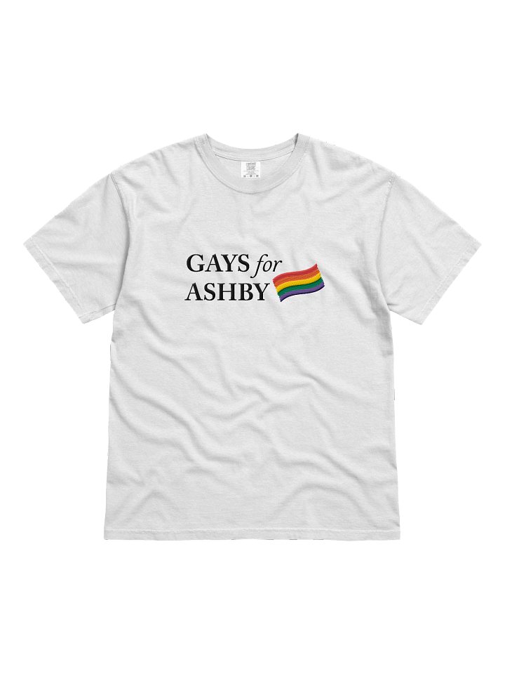 GAYS 4 ASHBY TSHIRT (embroidered) product image (1)