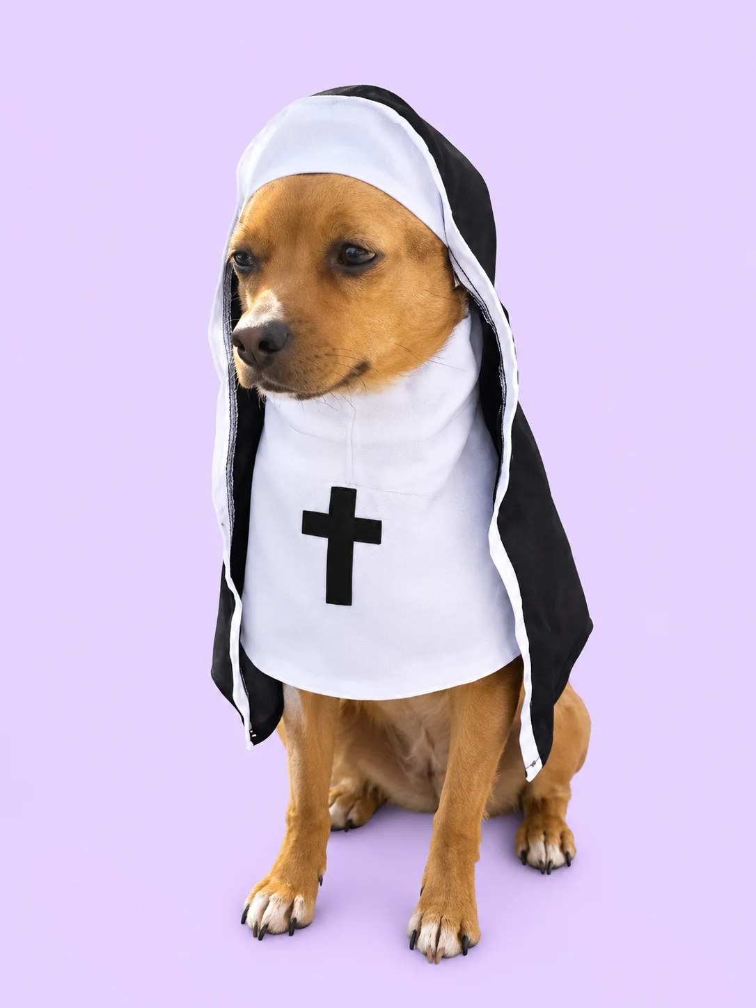 Nun Outfit for Pets product image (2)