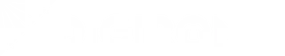 DigiRonin