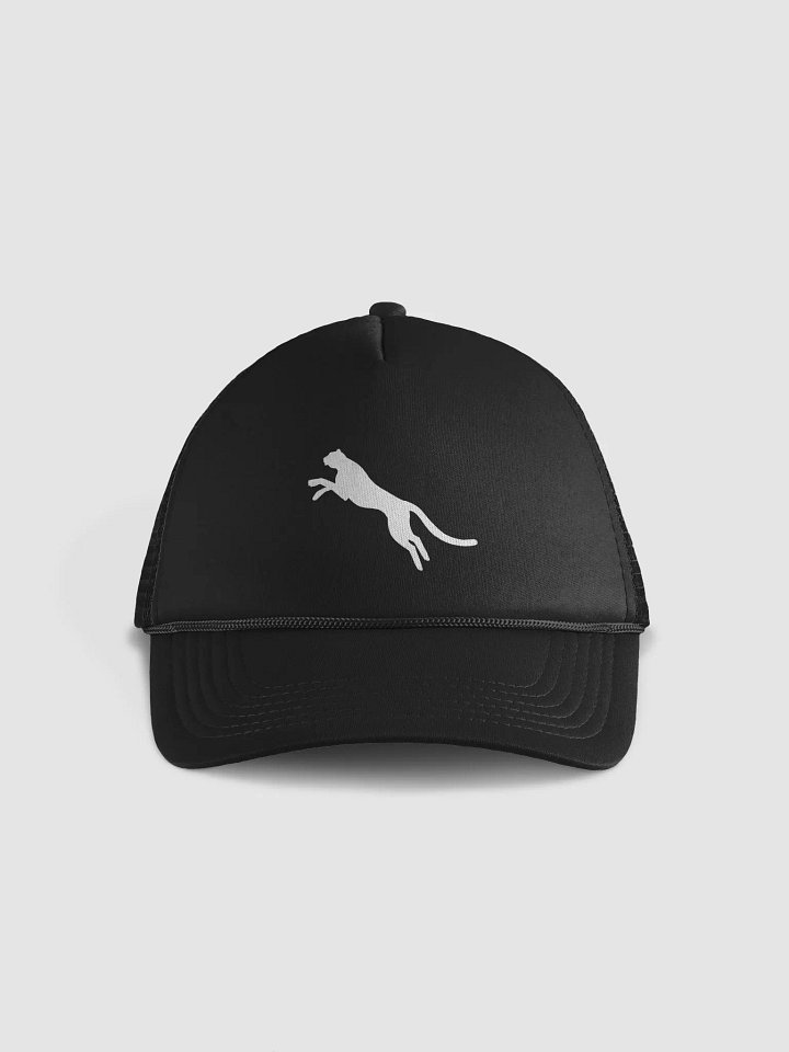 The Puma Sportswear Cap” product image (1)
