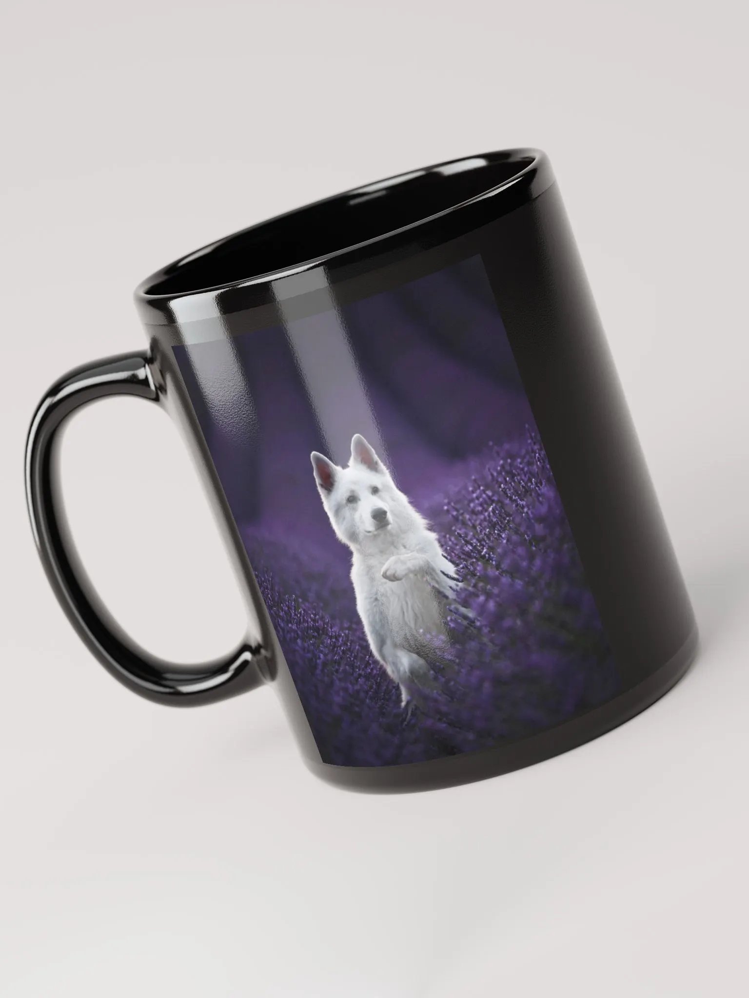 Rasta in the lavender fields in Valensole product image (5)