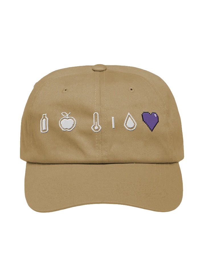 HollyRex X DayZ Icons Classic Dad Hat product image (5)