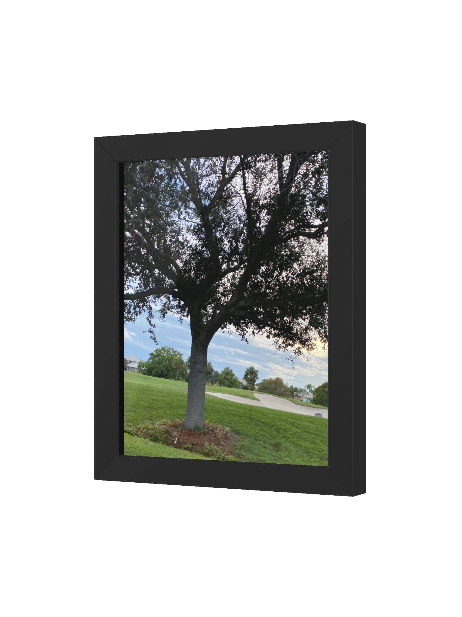 Tree of Life (poster) product image (7)
