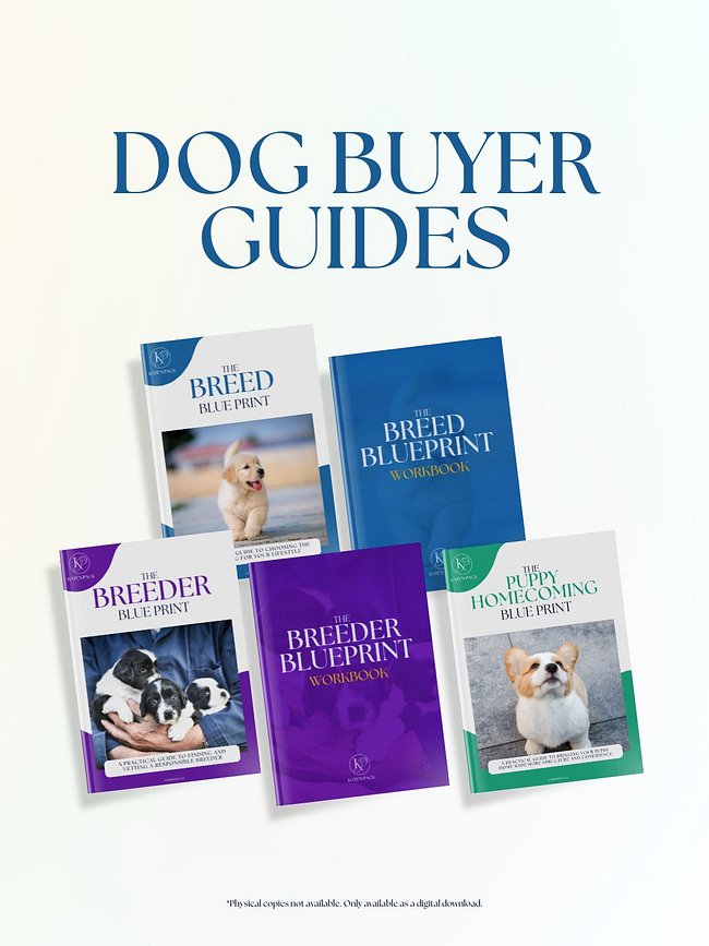 Blueprints (E-Books)