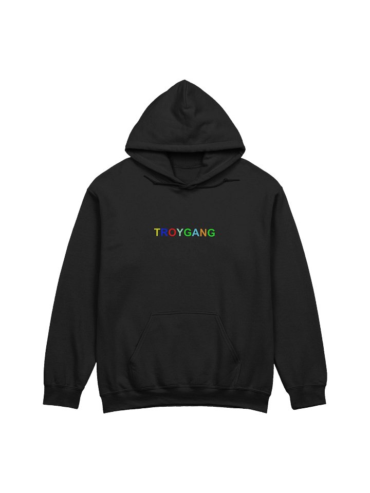 TROYGANG hoodie product image (1)