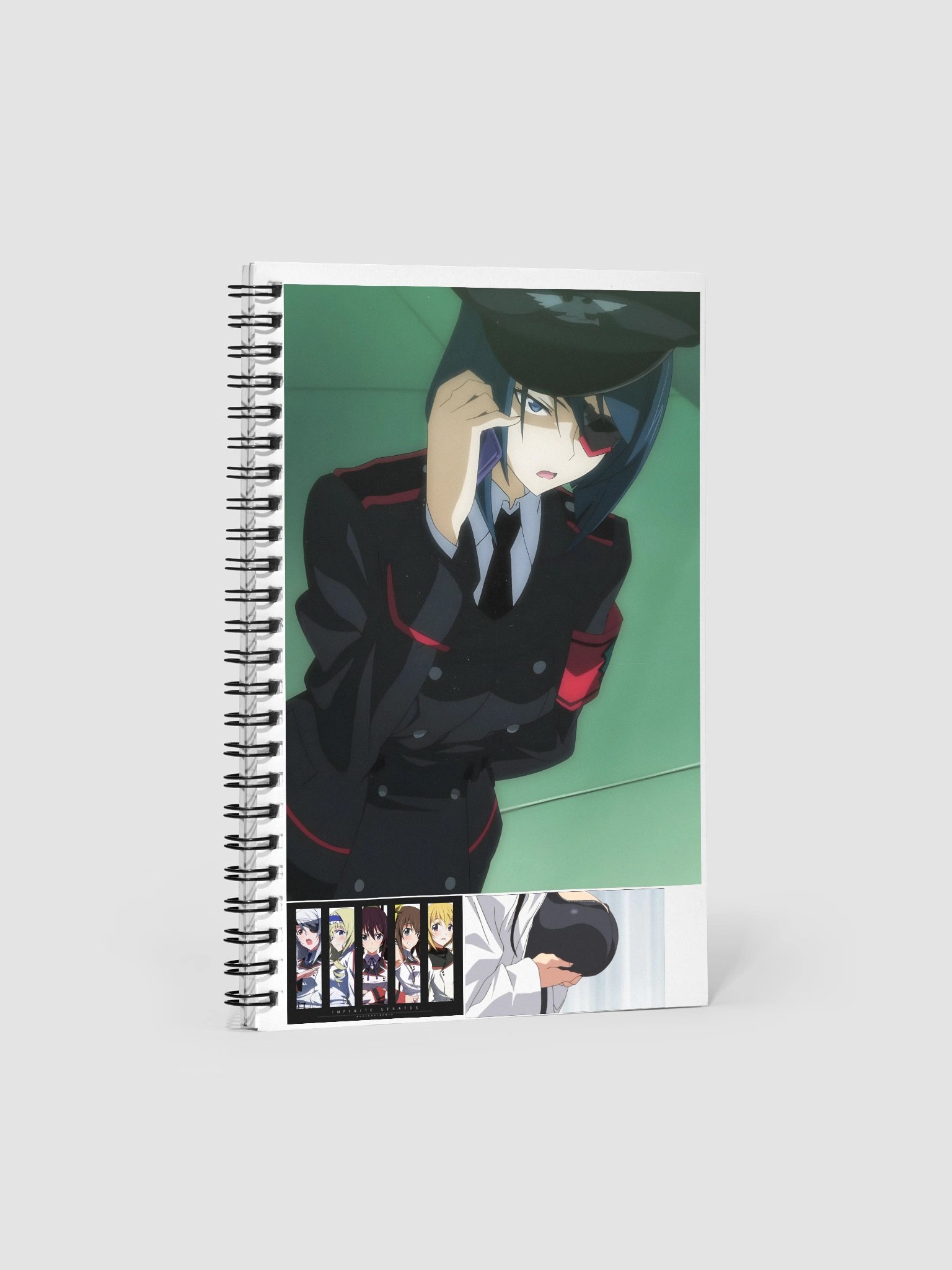 Infinite Stratos Book product image (1)