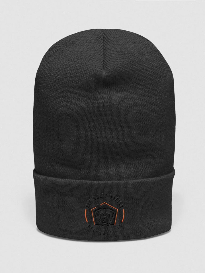 BBN Logo 2 Winter Hat product image (2)