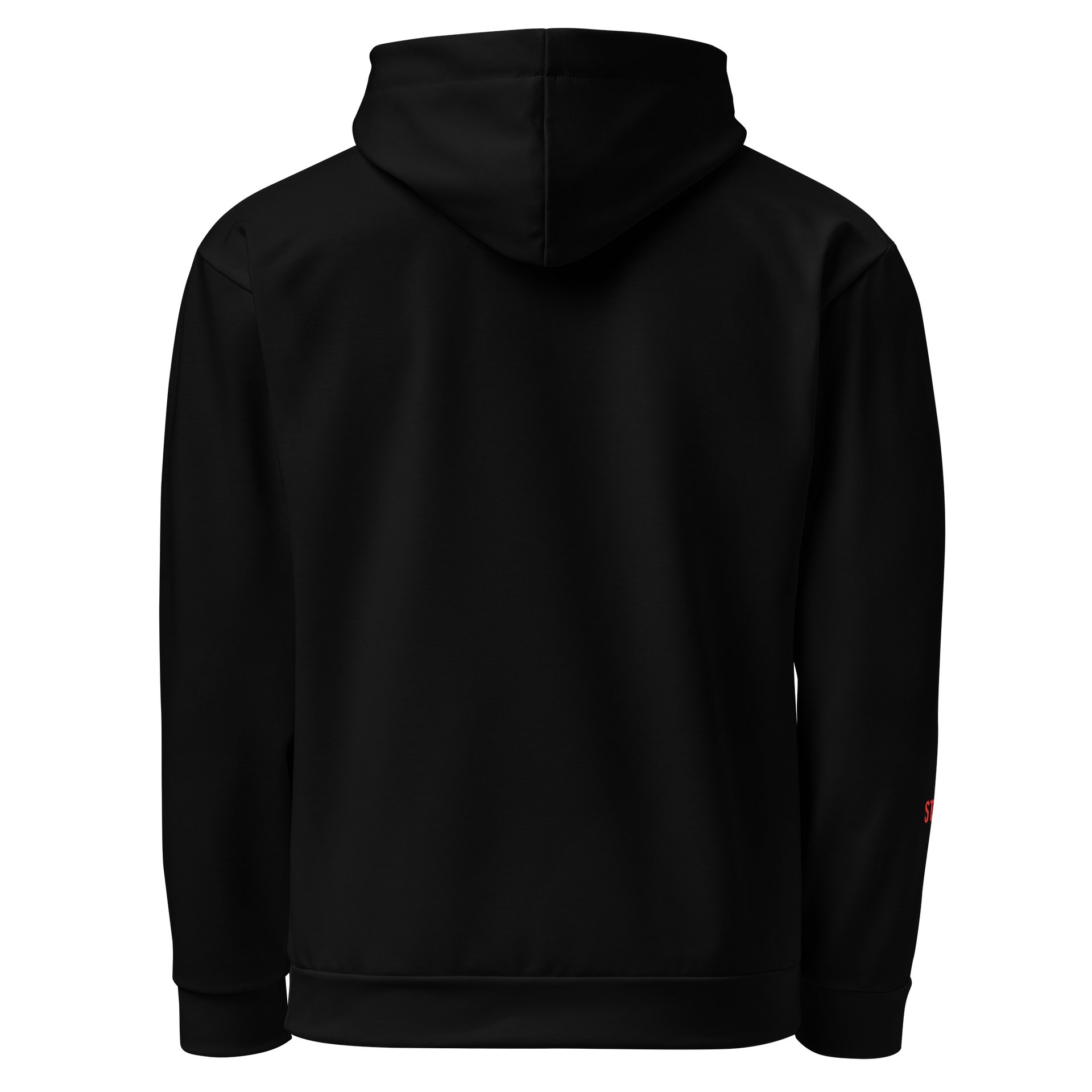 St. Ephraim College Hoodie product image (3)