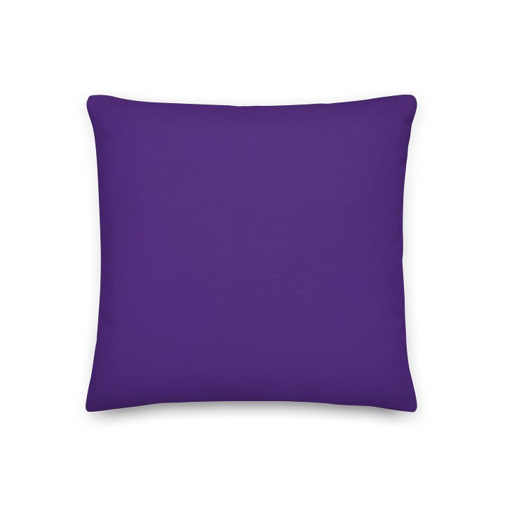 CG Educational Pillow product image (2)