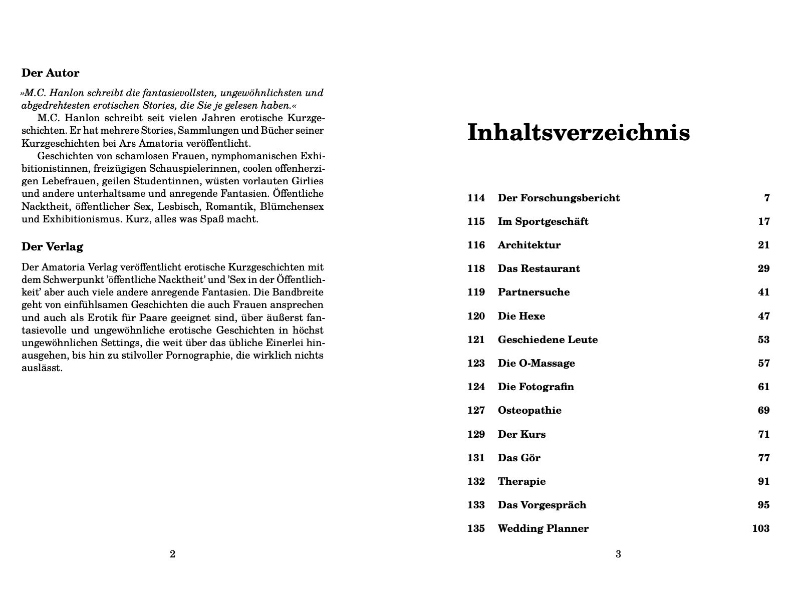 Schnelle Sexy Stories II - pdf product image (2)
