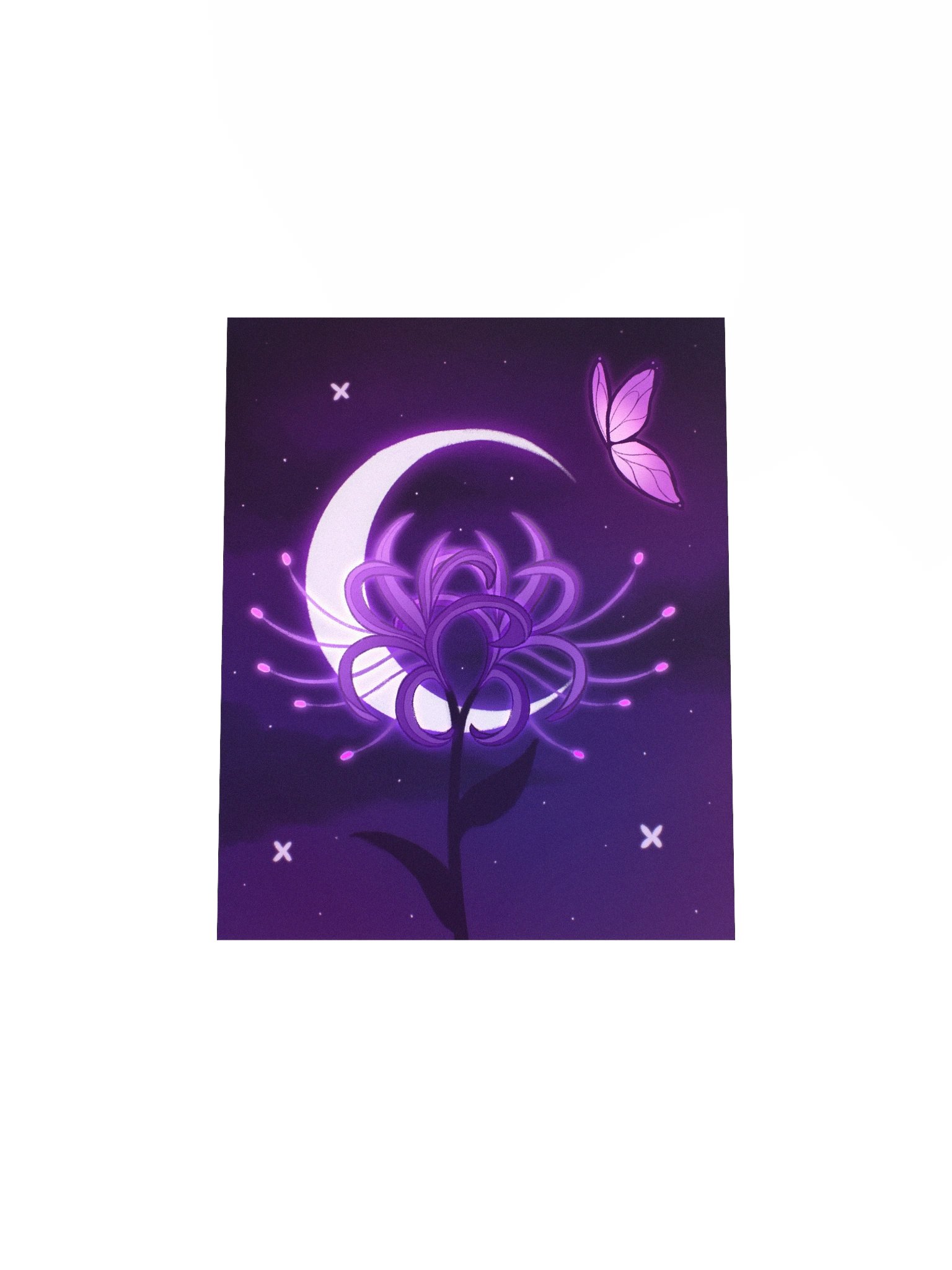 Lilac Spider Lily product image (8)