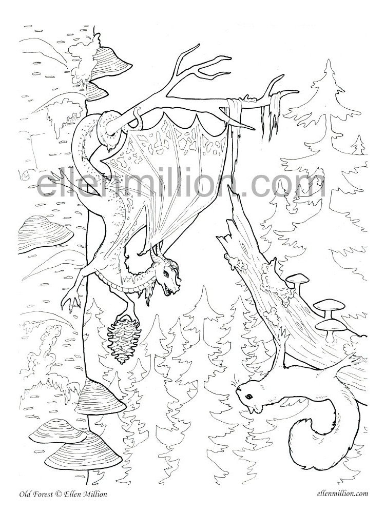 Old Forest - Digital Coloring Page product image (1)