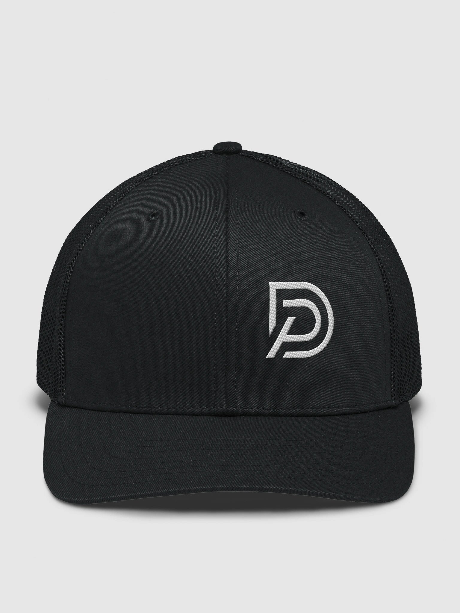 DP Logo Hat product image (40)