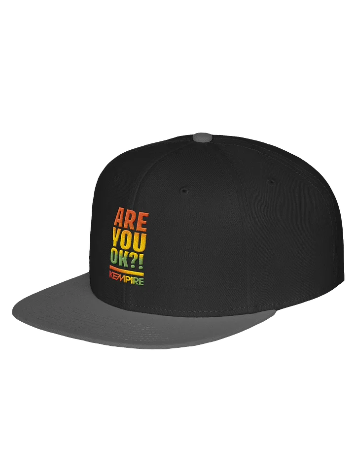Are You Ok?! Cap product image (5)