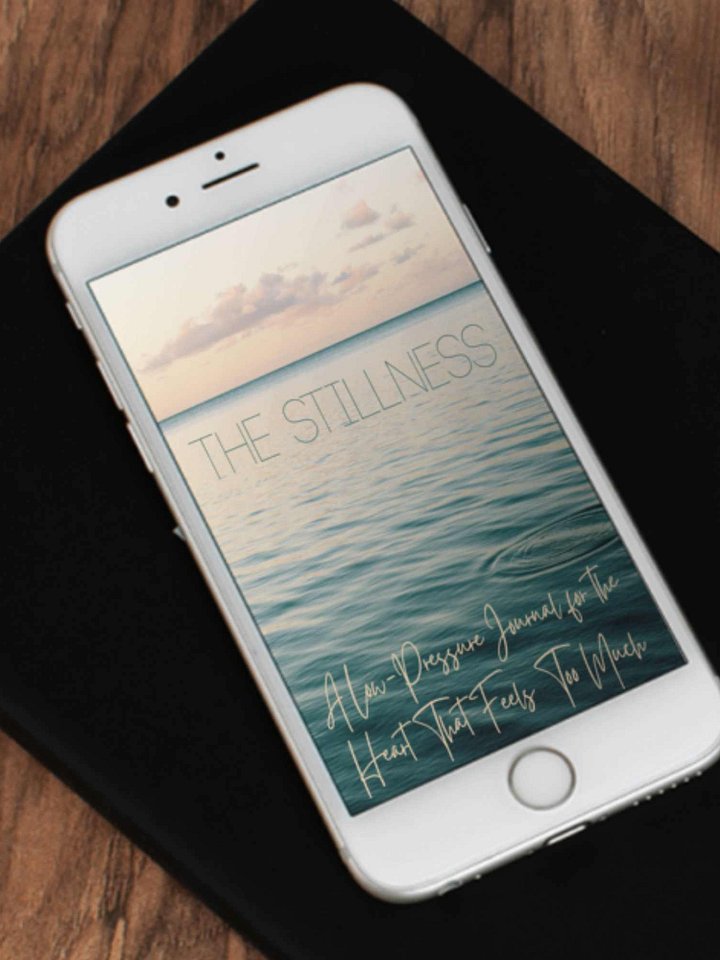 The Stillness Journal product image (1)
