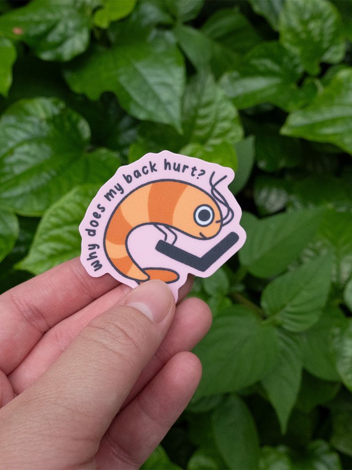 why does my back hurt shrimp sticker product image (2)