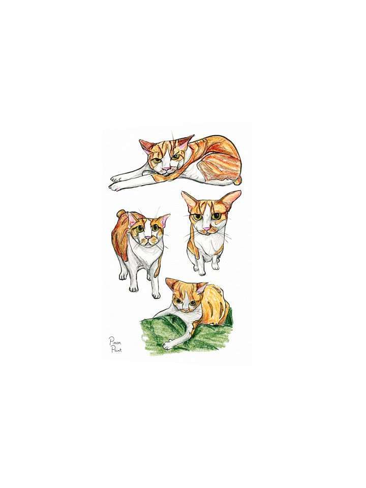 Sproot study print product image (3)