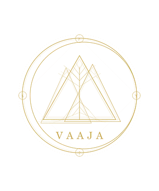 Vaaja shop