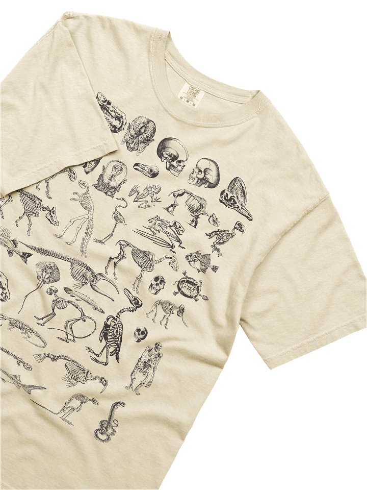 Dark Academia Skeletons Shirt – Vintage Anatomy Bones Illustration Graphic Tee product image (62)