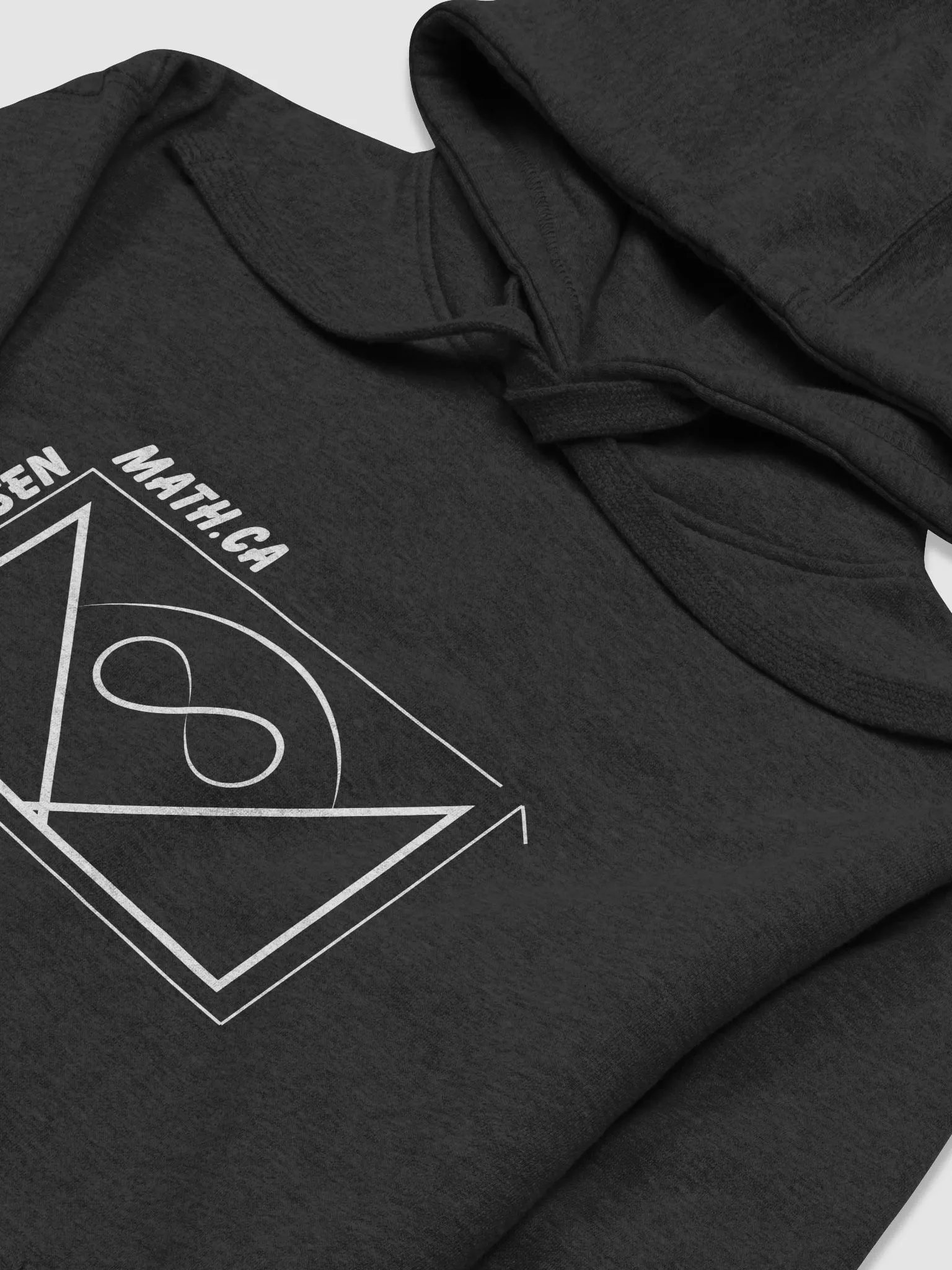 Big Logo Hoodie product image (3)