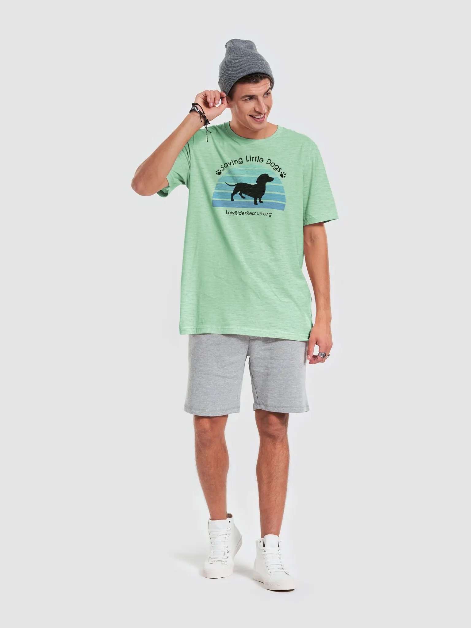Sunset Rainbow Low Rider Dachshund Rescue T 5 product image (4)