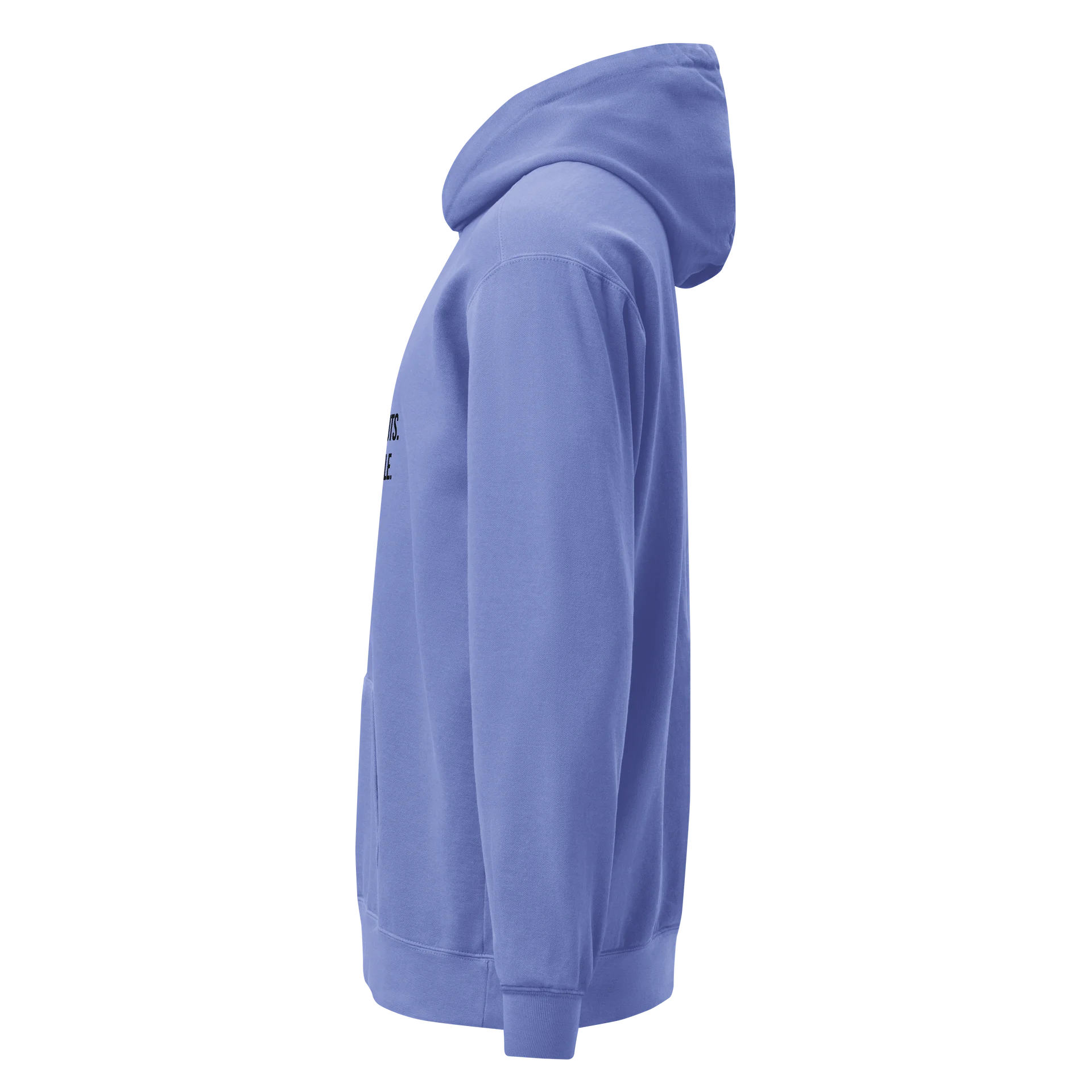 NO HANDOUTS. JUST HUSTLE. (Blue Edition) product image (5)