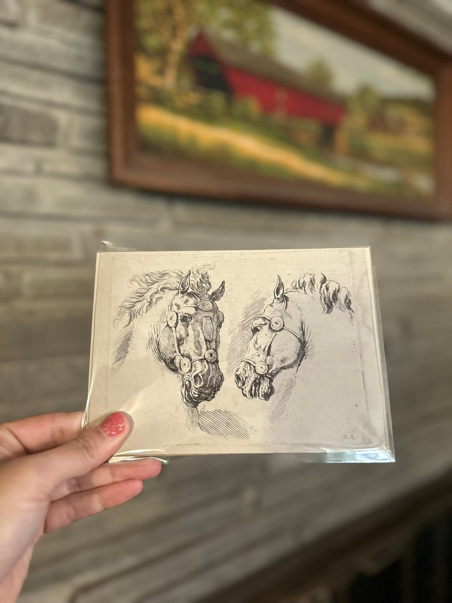 Stefano Della Bella "Two Studies of a Horse" Vintage Equestrian Giclee Fine Art Print | 5x7 | The Ribbon Room product image (1)