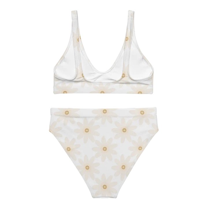 Daisy Dreams High Waisted Bikini Set product image (2)